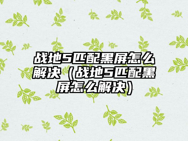 战地5匹配黑屏怎么解决（战地5匹配黑屏怎么解决）