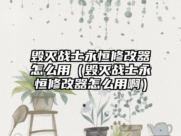 毁灭战士永恒修改器怎么用（毁灭战士永恒修改器怎么用啊）