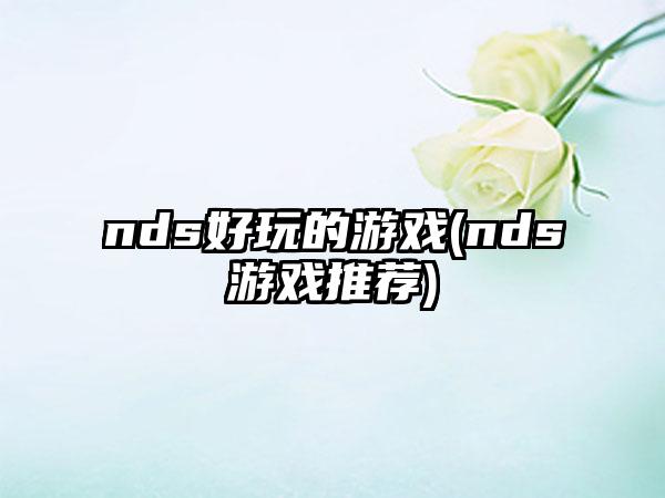 nds好玩的游戏(nds游戏推荐)