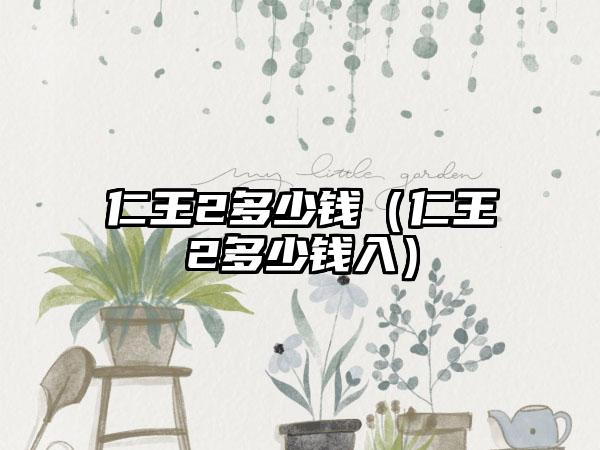 仁王2多少钱（仁王2多少钱入）