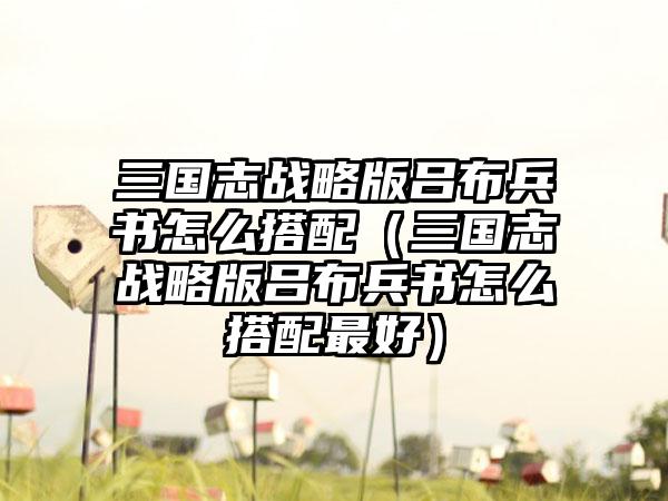 三国志战略版吕布兵书怎么搭配（三国志战略版吕布兵书怎么搭配最好）