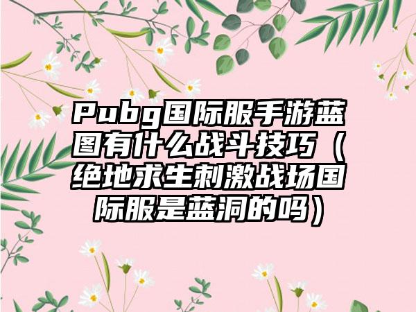 Pubg国际服手游蓝图有什么战斗技巧（绝地求生刺激战场国际服是蓝洞的吗）