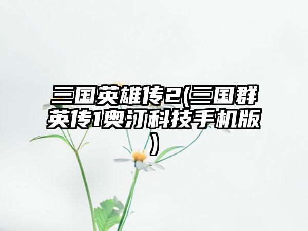 三国英雄传2(三国群英传1奥汀科技手机版)