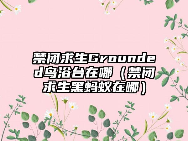 禁闭求生Grounded鸟浴台在哪（禁闭求生黑蚂蚁在哪）
