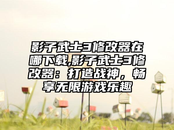 影子武士3修改器在哪下载,影子武士3修改器：打造战神，畅享无限游戏乐趣