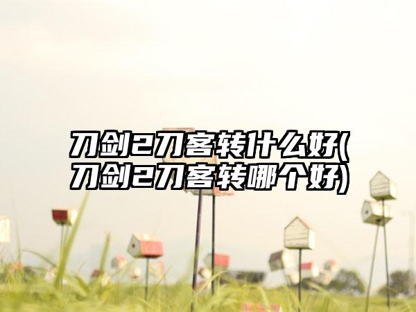 刀剑2刀客转什么好(刀剑2刀客转哪个好)