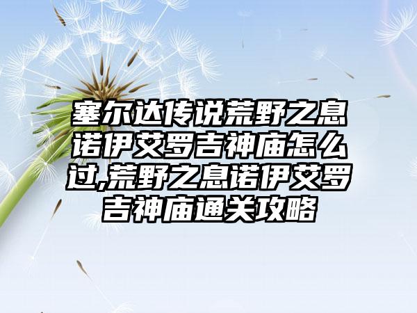 塞尔达传说荒野之息诺伊艾罗吉神庙怎么过,荒野之息诺伊艾罗吉神庙通关攻略