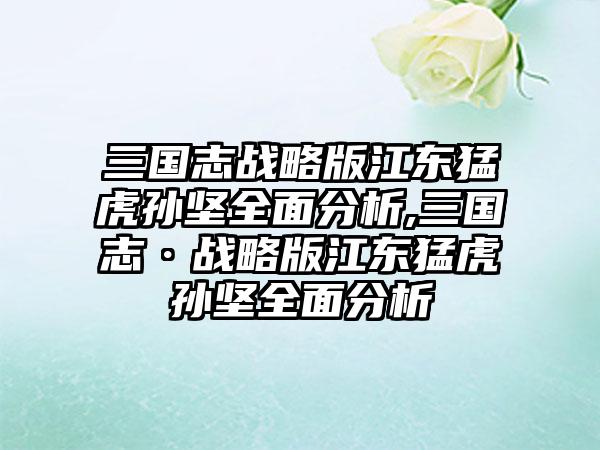 三国志战略版江东猛虎孙坚全面分析,三国志·战略版江东猛虎孙坚全面分析