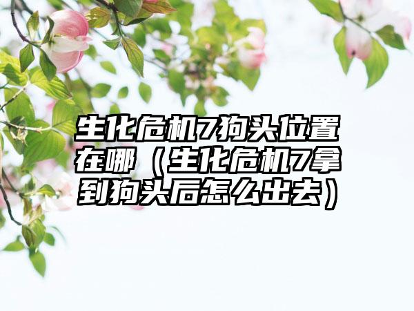 生化危机7狗头位置在哪（生化危机7拿到狗头后怎么出去）