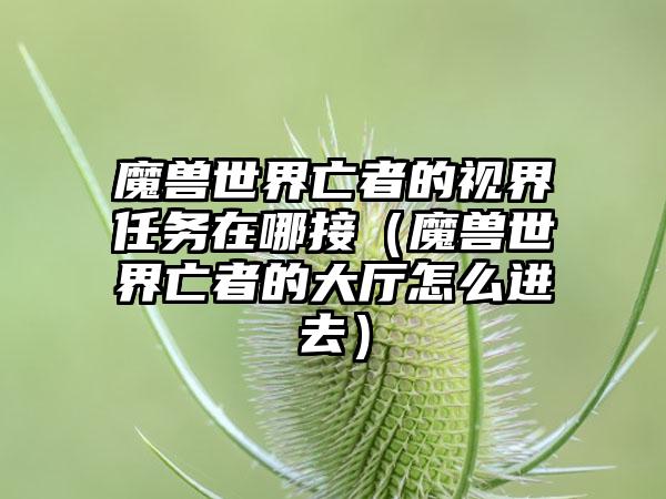 魔兽世界亡者的视界任务在哪接（魔兽世界亡者的大厅怎么进去）