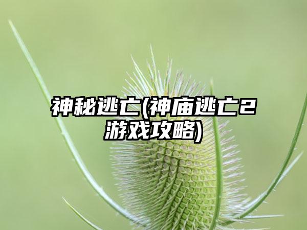 神秘逃亡(神庙逃亡2游戏攻略)