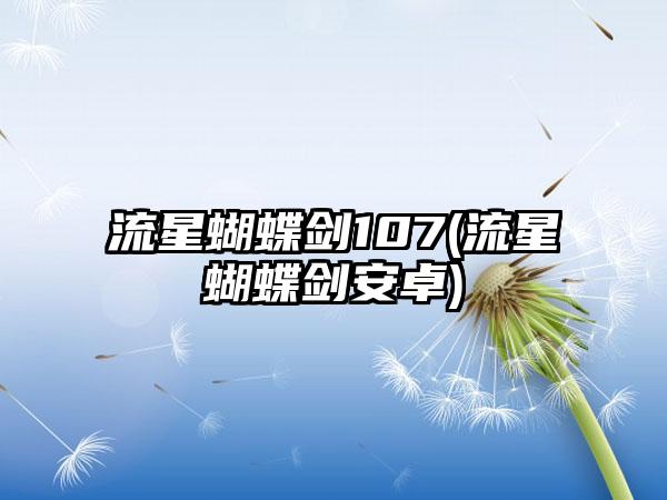 流星蝴蝶剑107(流星蝴蝶剑安卓)