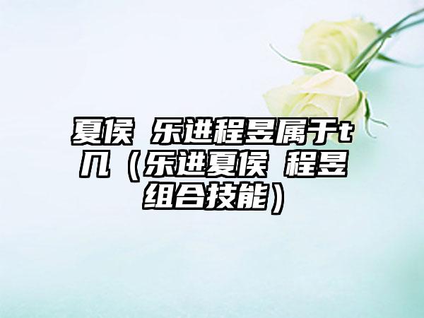 夏侯惇乐进程昱属于t几（乐进夏侯惇程昱组合技能）