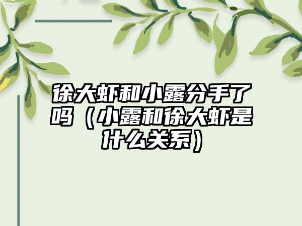 徐大虾和小露分手了吗（小露和徐大虾是什么关系）