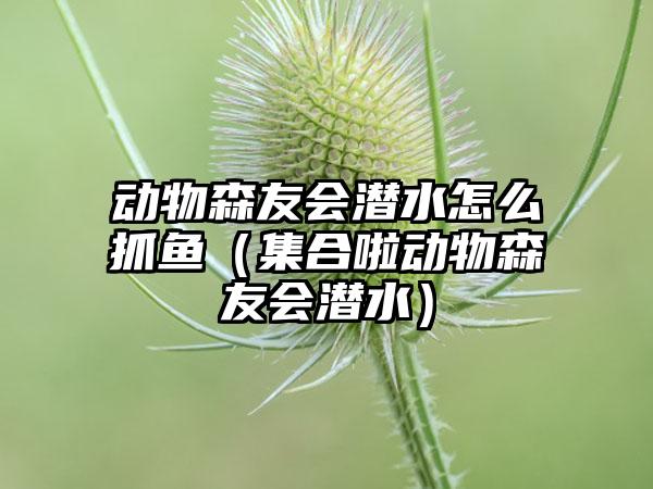 动物森友会潜水怎么抓鱼（集合啦动物森友会潜水）