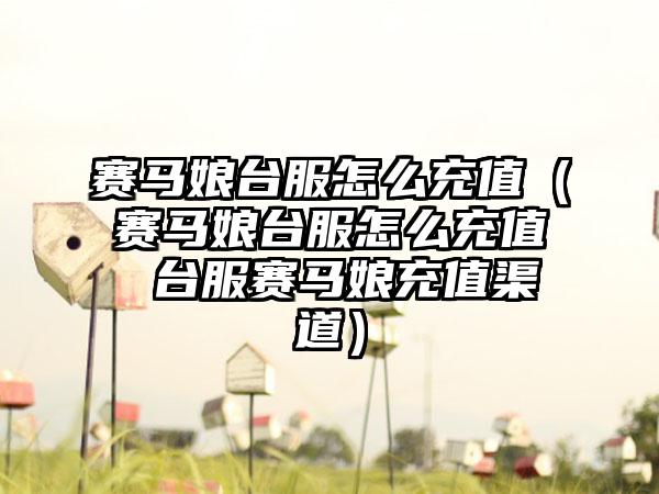 赛马娘台服怎么充值（赛马娘台服怎么充值 台服赛马娘充值渠道）