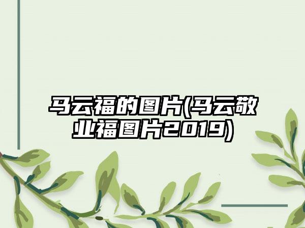 马云福的图片(马云敬业福图片2019)