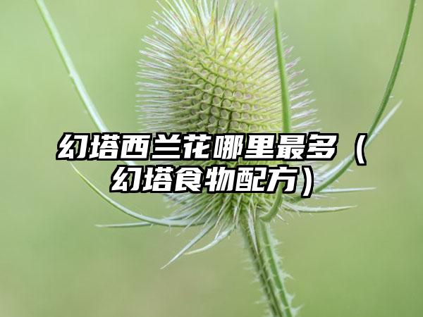 幻塔西兰花哪里最多（幻塔食物配方）