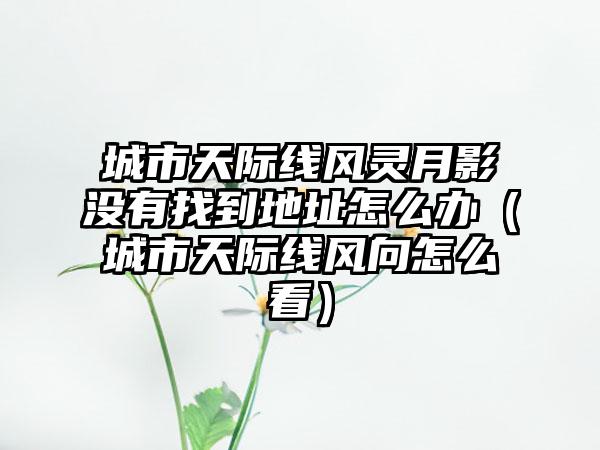城市天际线风灵月影没有找到地址怎么办（城市天际线风向怎么看）