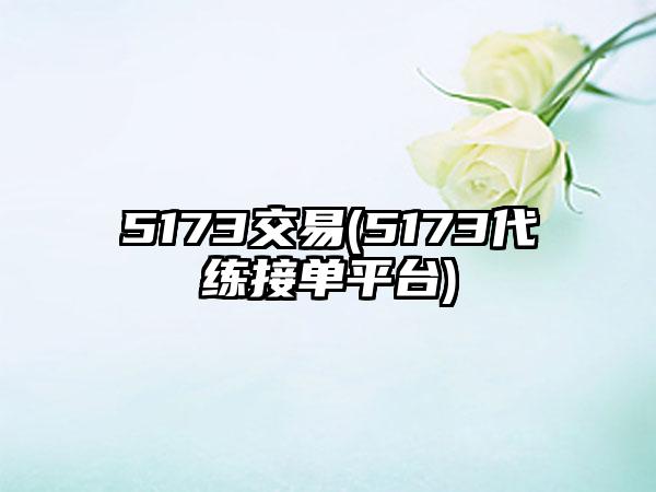 5173交易(5173代练接单平台)