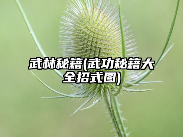 武林秘籍(武功秘籍大全招式图)