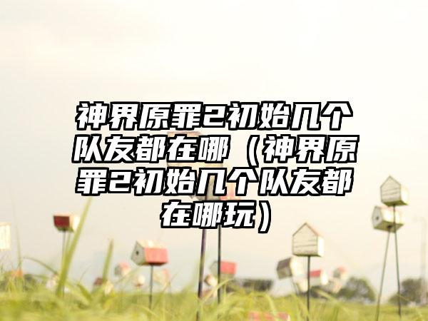 神界原罪2初始几个队友都在哪（神界原罪2初始几个队友都在哪玩）