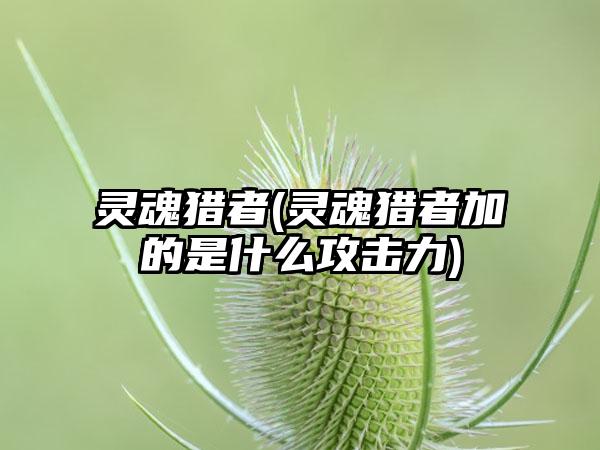 灵魂猎者(灵魂猎者加的是什么攻击力)
