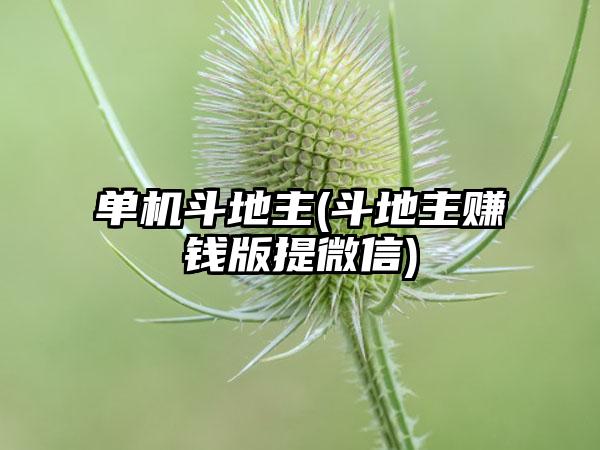 单机斗地主(斗地主赚钱版提微信)