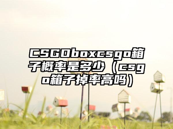 CSGOboxcsgo箱子概率是多少（csgo箱子掉率高吗）