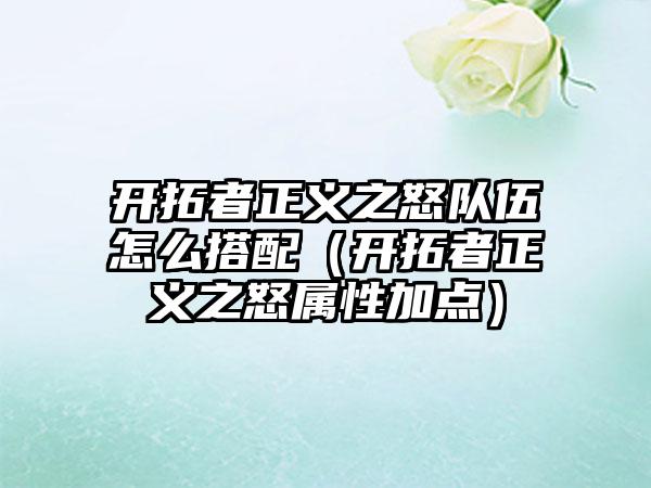 开拓者正义之怒队伍怎么搭配（开拓者正义之怒属性加点）