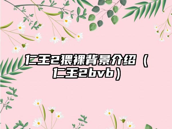 仁王2猥裸背景介绍（仁王2bvb）