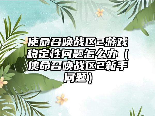 使命召唤战区2游戏稳定性问题怎么办（使命召唤战区2新手问题）