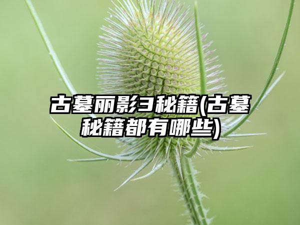 古墓丽影3秘籍(古墓秘籍都有哪些)