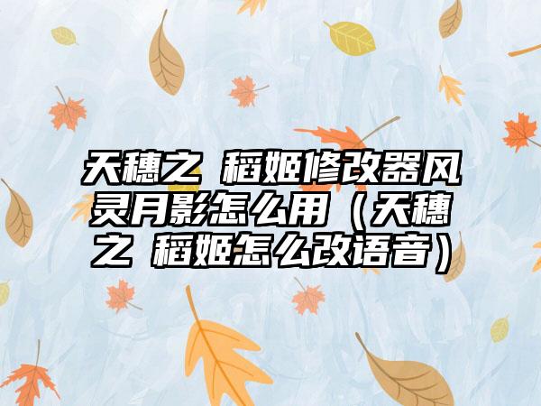 天穗之咲稻姬修改器风灵月影怎么用（天穗之咲稻姬怎么改语音）