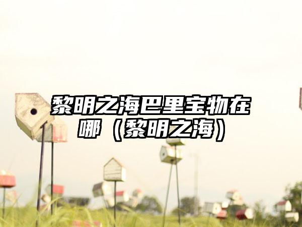 黎明之海巴里宝物在哪（黎明之海）