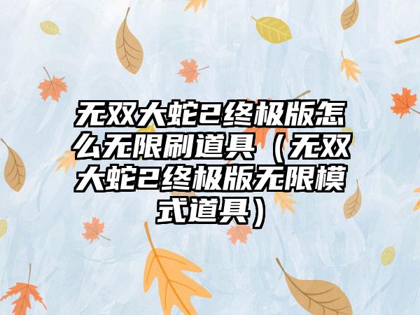 无双大蛇2终极版怎么无限刷道具（无双大蛇2终极版无限模式道具）