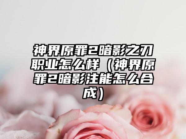神界原罪2暗影之刃职业怎么样（神界原罪2暗影注能怎么合成）