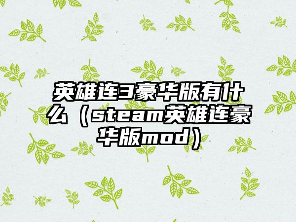 英雄连3豪华版有什么（steam英雄连豪华版mod）