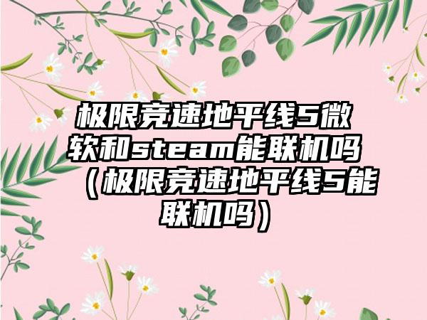 极限竞速地平线5微软和steam能联机吗（极限竞速地平线5能联机吗）