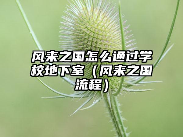 风来之国怎么通过学校地下室（风来之国流程）