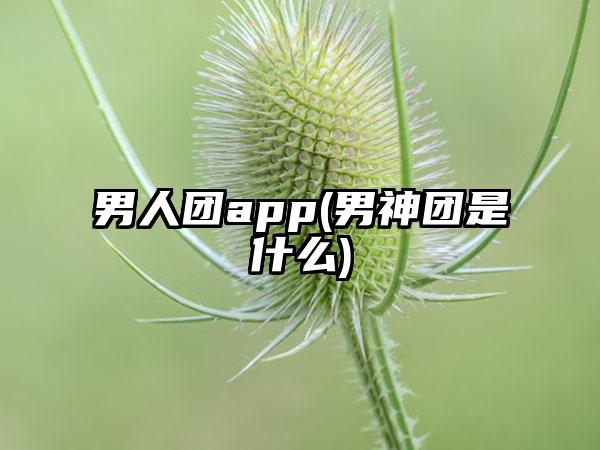 男人团app(男神团是什么)