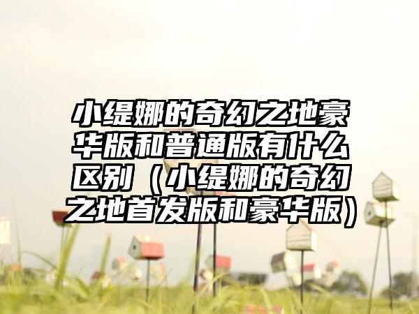 小缇娜的奇幻之地豪华版和普通版有什么区别（小缇娜的奇幻之地首发版和豪华版）