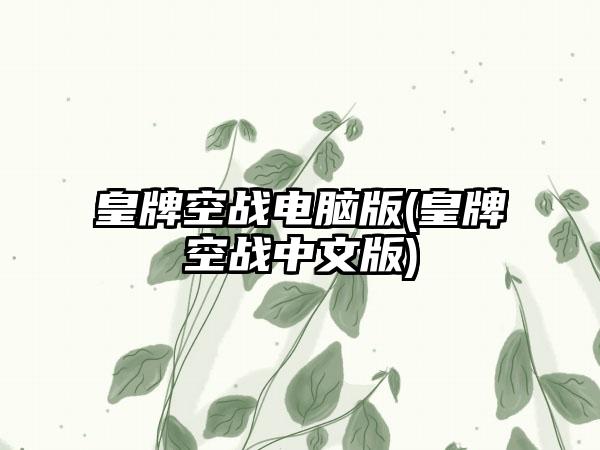 皇牌空战电脑版(皇牌空战中文版)