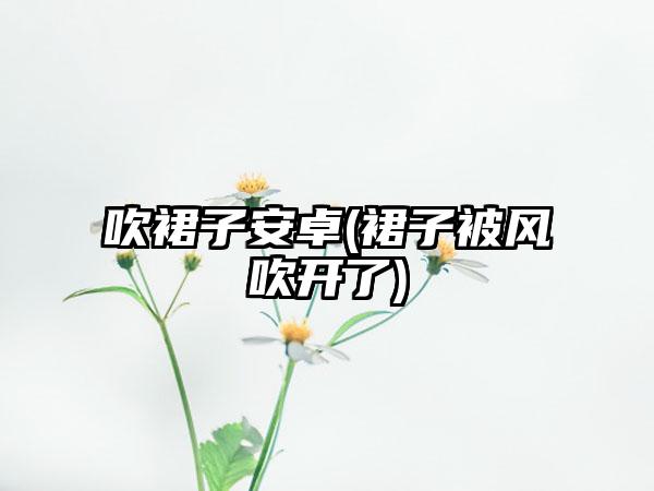吹裙子安卓(裙子被风吹开了)