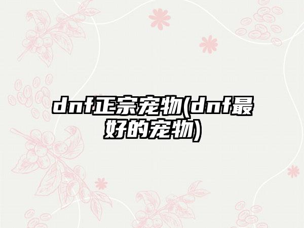 dnf正宗宠物(dnf最好的宠物)