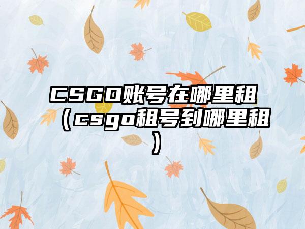 CSGO账号在哪里租（csgo租号到哪里租）