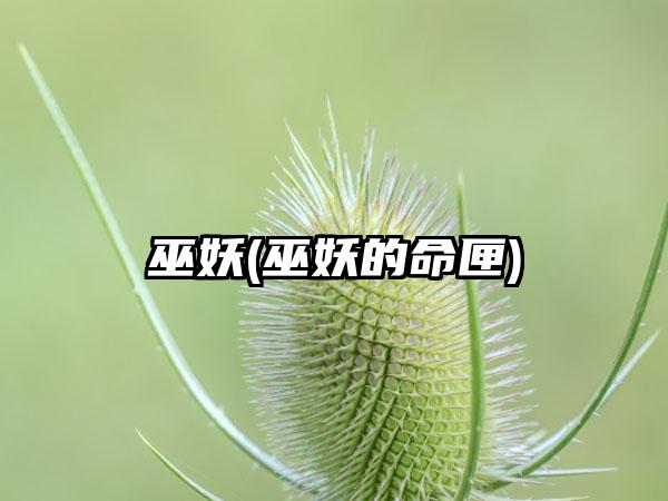 巫妖(巫妖的命匣)