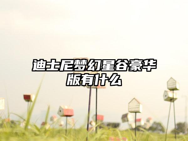 迪士尼梦幻星谷豪华版有什么