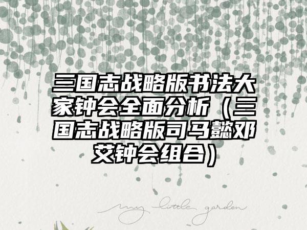 三国志战略版书法大家钟会全面分析（三国志战略版司马懿邓艾钟会组合）