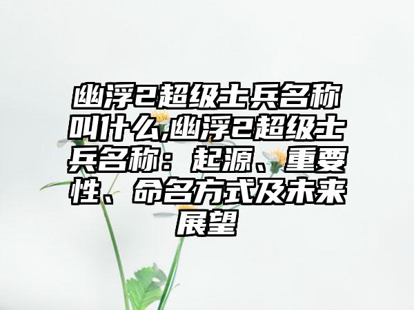 幽浮2超级士兵名称叫什么,幽浮2超级士兵名称：起源、重要性、命名方式及未来展望